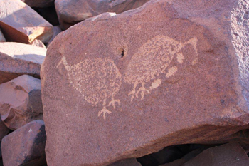 An example of rock art on the Burrup Peninsula. Photo: Courtesy of Murujuga Aboriginal Corporation